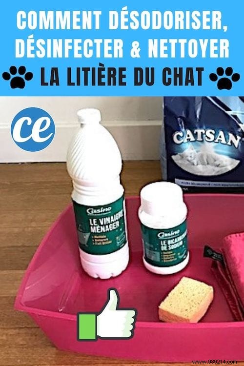 The Proven Natural Method to Clean, Deodorize, and Disinfect Your Cat s Litter Box