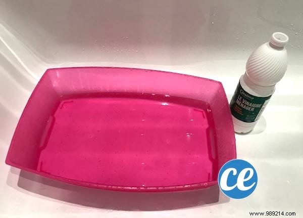 The Proven Natural Method to Clean, Deodorize, and Disinfect Your Cat s Litter Box