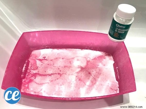 The Proven Natural Method to Clean, Deodorize, and Disinfect Your Cat s Litter Box