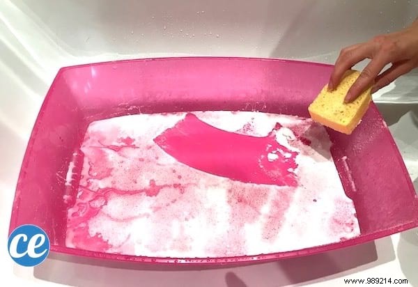 The Proven Natural Method to Clean, Deodorize, and Disinfect Your Cat s Litter Box