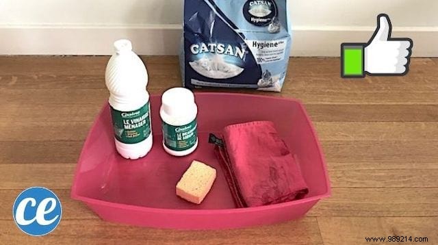 The Proven Natural Method to Clean, Deodorize, and Disinfect Your Cat s Litter Box