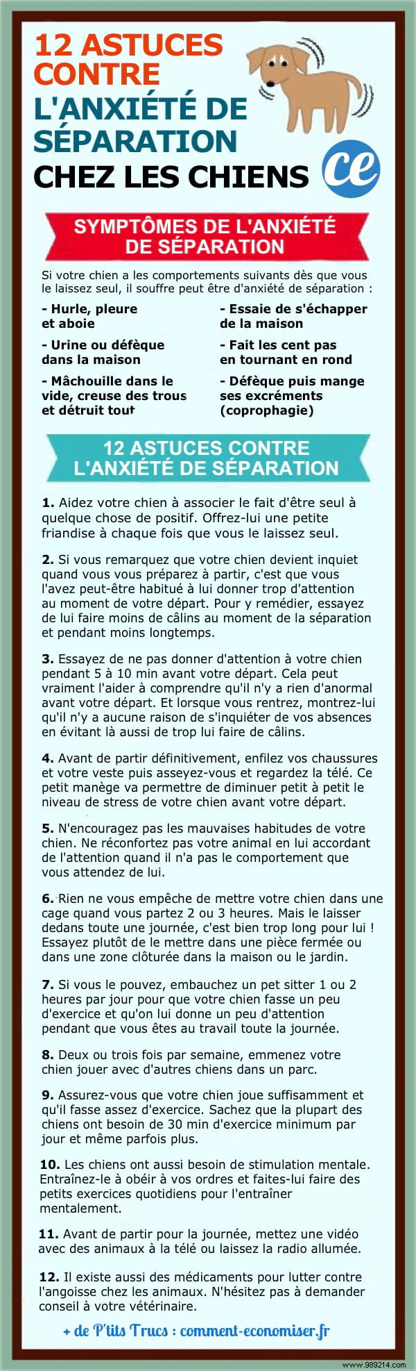 12 Vet-Recommended Tips to Ease Separation Anxiety in Dogs