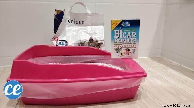 Vet-Recommended Baking Soda Trick to Eliminate Cat Litter Odors