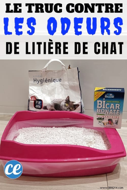 Vet-Recommended Baking Soda Trick to Eliminate Cat Litter Odors