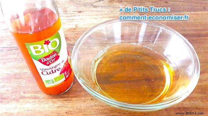 Vet-Recommended: Natural Apple Cider Vinegar Flea Prevention for Dogs
