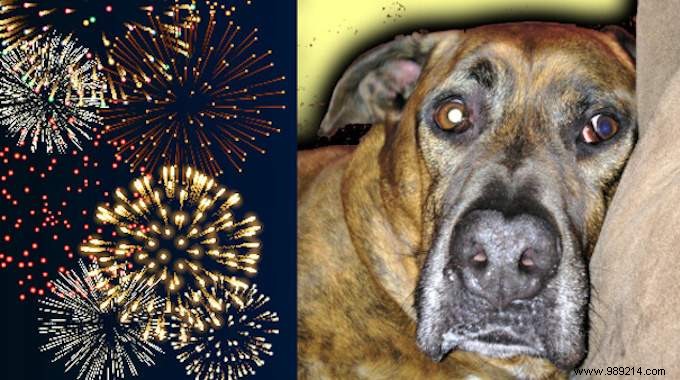 Vet-Recommended Phosphorus 30C: Calm Your Dog s Fireworks and Thunderstorm Anxiety