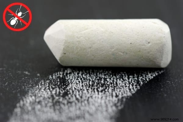 22 Proven Natural Ant Repellents: Safe, Effective Ways to Protect Your Home