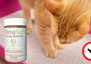 Keep Your Cat s Litter Box Clean and Odor-Free 2x Longer with This Natural Trick