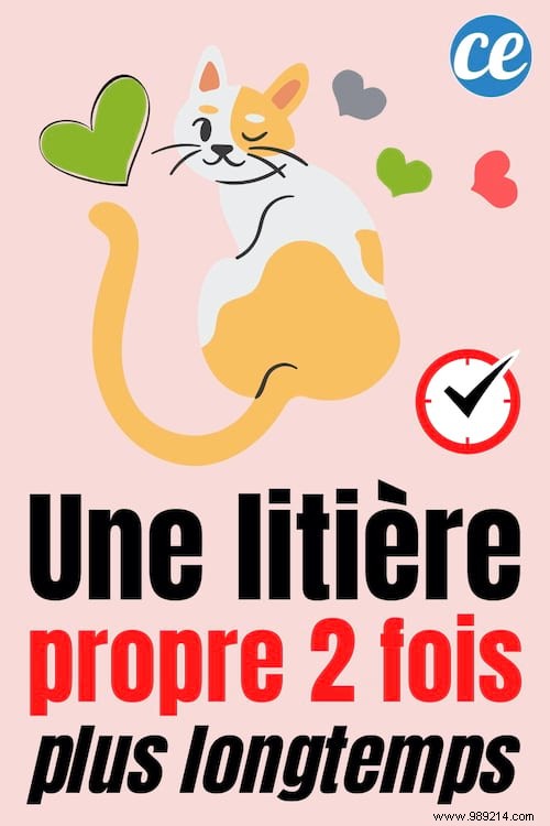 Keep Your Cat s Litter Box Clean and Odor-Free 2x Longer with This Natural Trick