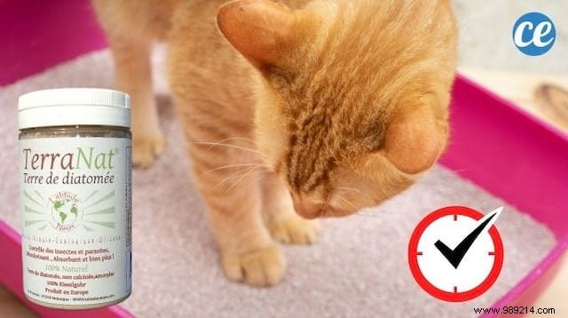 Keep Your Cat s Litter Box Clean and Odor-Free 2x Longer with This Natural Trick