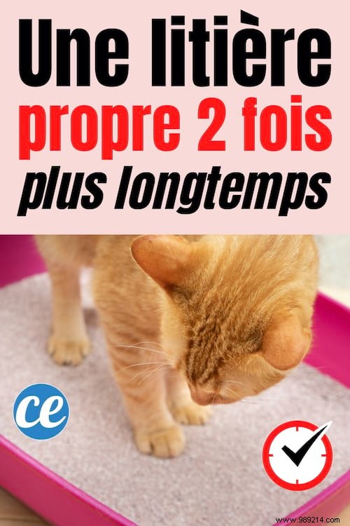 Keep Your Cat s Litter Box Clean and Odor-Free 2x Longer with This Natural Trick