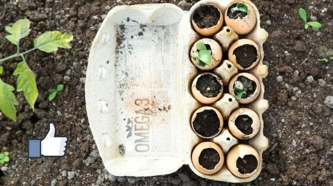 5 Proven Reasons to Keep Chickens in Your Vegetable Garden