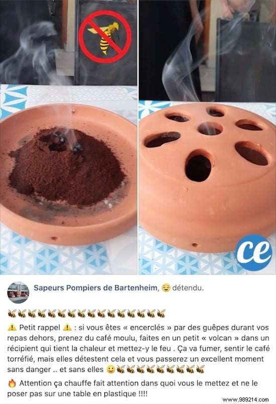 Repel Wasps Naturally: Burn Ground Coffee – Proven Tip from Bartenheim Fire Brigade