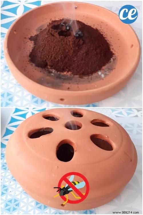 Repel Wasps Naturally: Burn Ground Coffee – Proven Tip from Bartenheim Fire Brigade