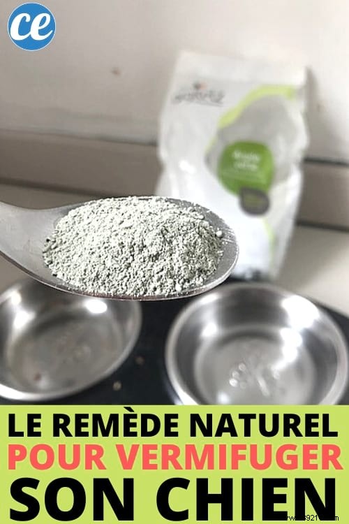 Green Clay: A Proven Natural Dewormer for Dogs, Effective in Just 1 Day