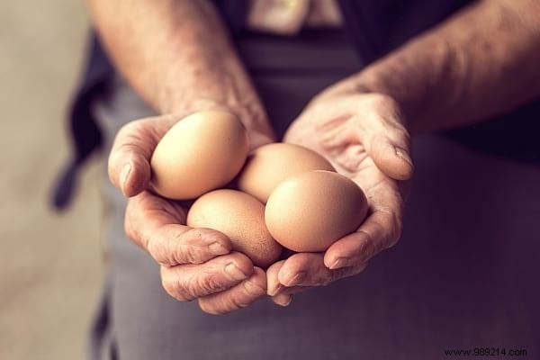 16 Proven Tips to Feed Your Chickens Economically While Boosting Health and Egg Production