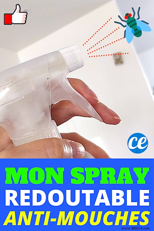Effective Homemade Fly Repellent Spray: Natural Solution to Eliminate Flies Instantly