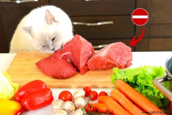 16 Toxic Foods to Never Feed Your Cat: Vet-Approved Insights