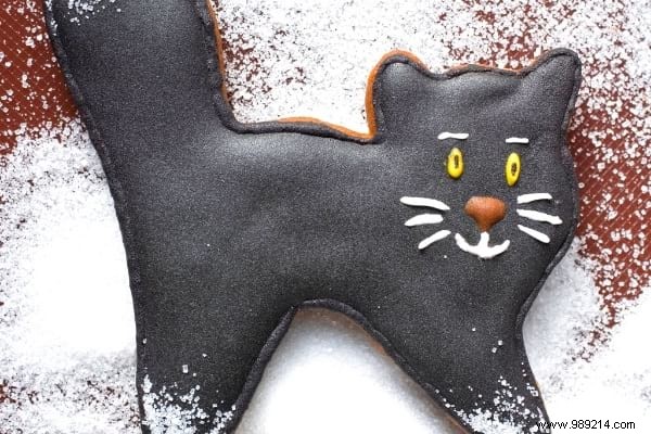 16 Toxic Foods to Never Feed Your Cat: Vet-Approved Insights