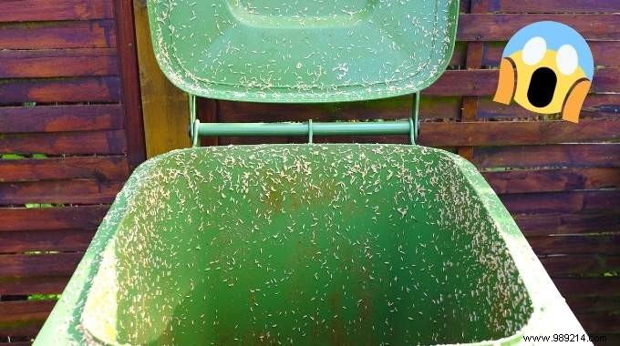 Eliminate Maggots in Your Trash Bin: Proven Natural Methods to Get Rid of Them Fast and Prevent Infestations