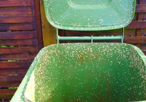 Eliminate Maggots in Your Trash Bin: Proven Natural Methods to Get Rid of Them Fast and Prevent Infestations