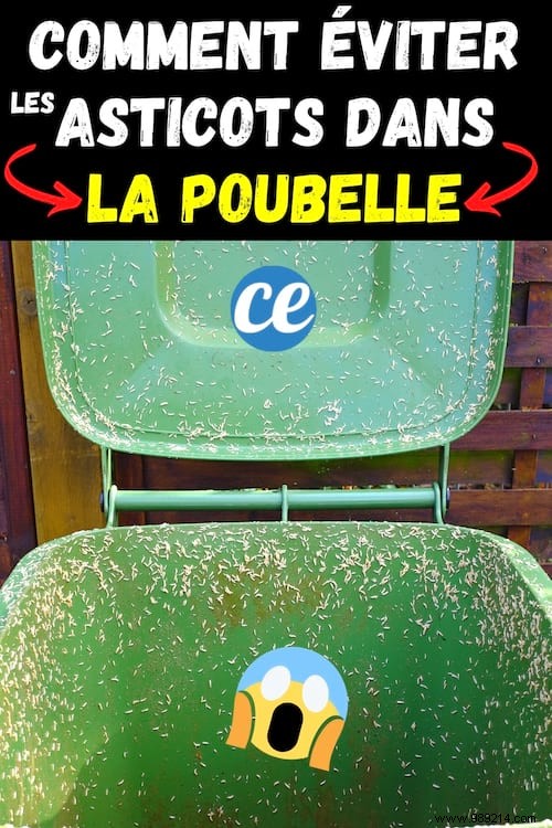 Eliminate Maggots in Your Trash Bin: Proven Natural Methods to Get Rid of Them Fast and Prevent Infestations