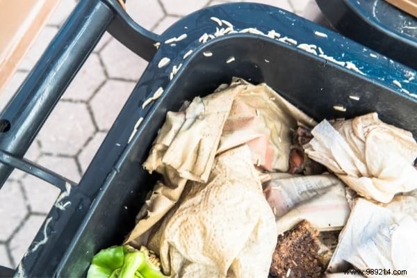 Eliminate Maggots in Your Trash Bin: Proven Natural Methods to Get Rid of Them Fast and Prevent Infestations