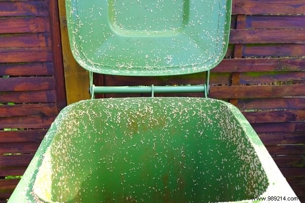 Eliminate Maggots in Your Trash Bin: Proven Natural Methods to Get Rid of Them Fast and Prevent Infestations