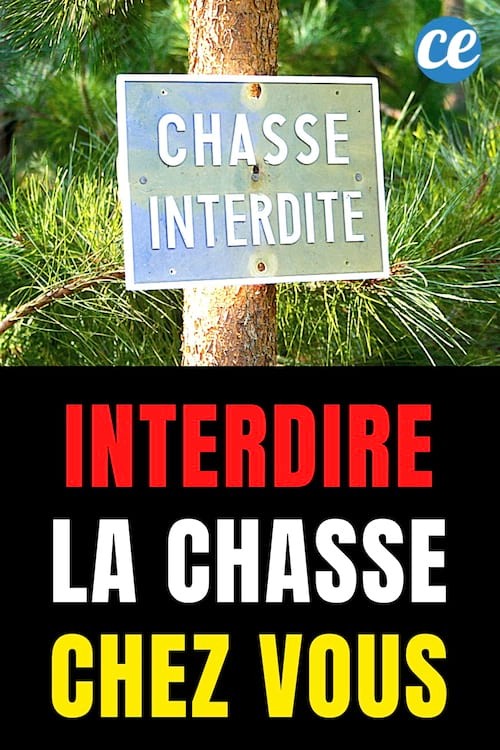 How to Legally Prohibit Hunting on Your Private Property: Expert Guide