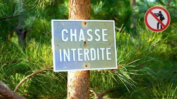 How to Legally Prohibit Hunting on Your Private Property: Expert Guide