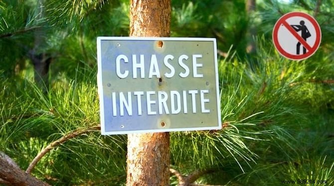 How to Legally Prohibit Hunting on Your Private Property: Expert Guide