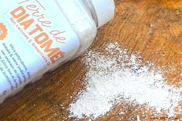 7 Proven Natural Tips to Eliminate Silverfish from Your Home