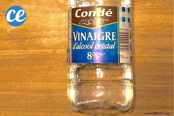 7 Proven Natural Tips to Eliminate Silverfish from Your Home