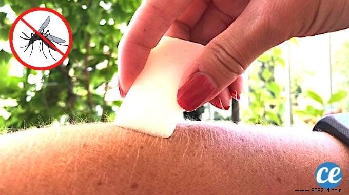 DIY Natural Mosquito Repellent Balm: Easy, Effective Recipe Backed by Real-World Testing