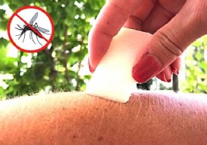 DIY Natural Mosquito Repellent Balm: Easy, Effective Recipe Backed by Real-World Testing