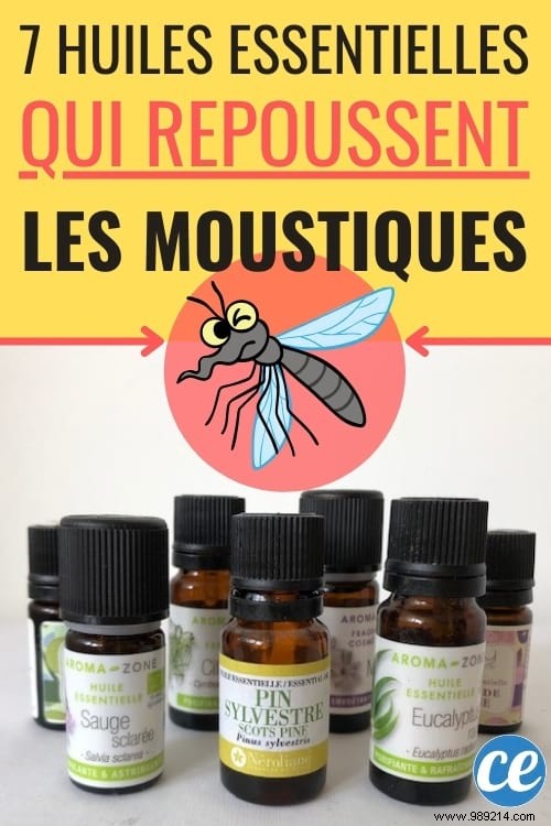 7 Science-Backed Essential Oils to Naturally Repel Mosquitoes – Perfect for Diffusers