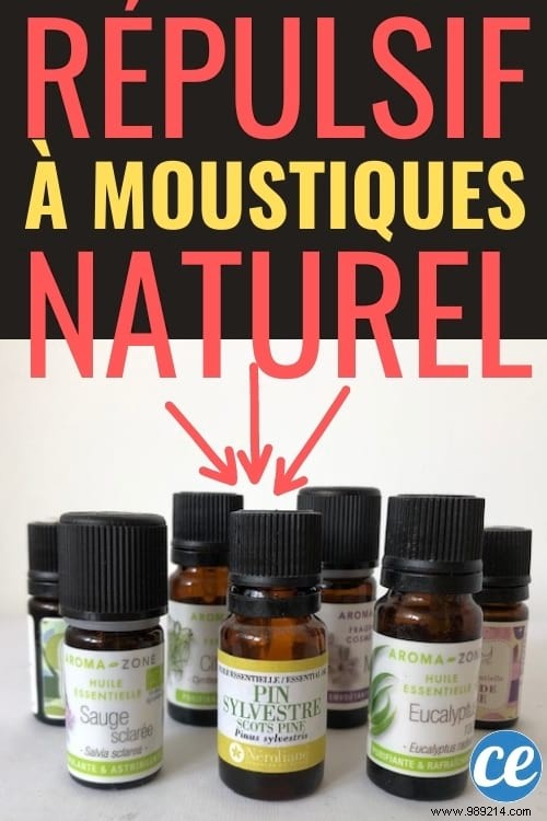 7 Science-Backed Essential Oils to Naturally Repel Mosquitoes – Perfect for Diffusers