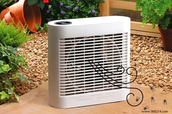 5 Proven Natural Ways to Repel Flies During Outdoor Meals