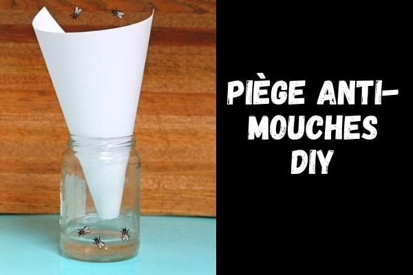 5 Proven Natural Ways to Repel Flies During Outdoor Meals