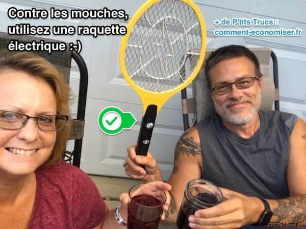 5 Proven Natural Ways to Repel Flies During Outdoor Meals