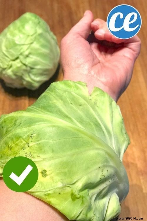 5 Time-Tested Grandmother s Remedies to Relieve Chigger Bite Itching