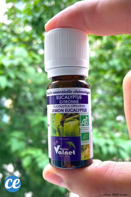 10 Proven Natural Mosquito Repellents Backed by Science: Safe Alternatives to DEET
