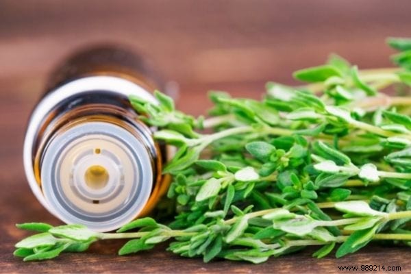 10 Proven Natural Mosquito Repellents Backed by Science: Safe Alternatives to DEET