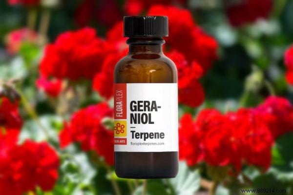 10 Proven Natural Mosquito Repellents Backed by Science: Safe Alternatives to DEET