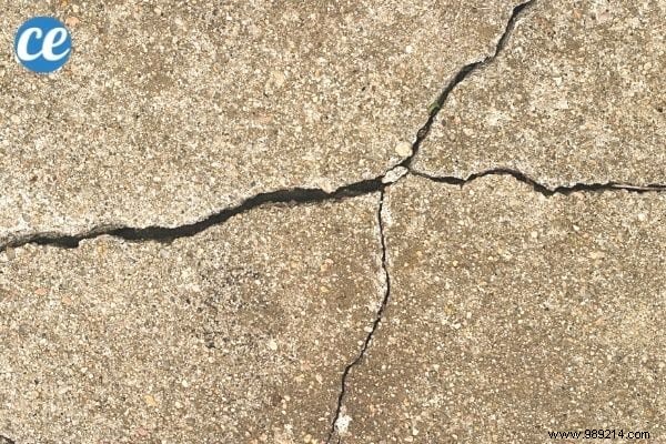 17 Proven Natural Ways to Eliminate Stink Bugs from Your Home and Garden