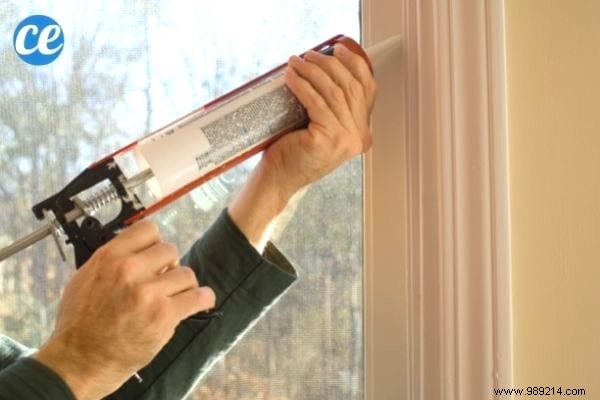 17 Proven Natural Ways to Eliminate Stink Bugs from Your Home and Garden