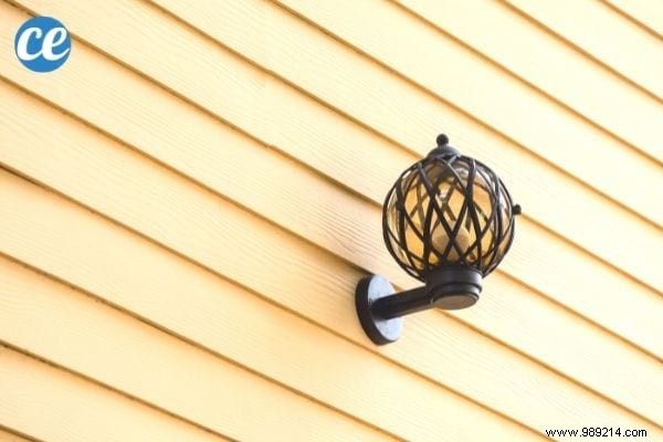 17 Proven Natural Ways to Eliminate Stink Bugs from Your Home and Garden