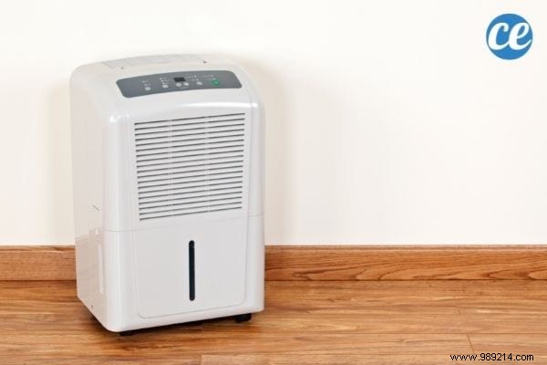 17 Proven Natural Ways to Eliminate Stink Bugs from Your Home and Garden