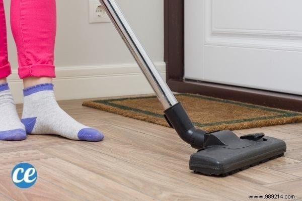 17 Proven Natural Ways to Eliminate Stink Bugs from Your Home and Garden