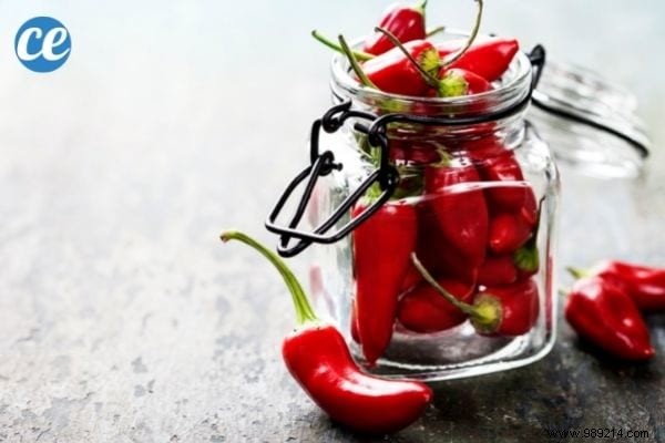 17 Proven Natural Ways to Eliminate Stink Bugs from Your Home and Garden